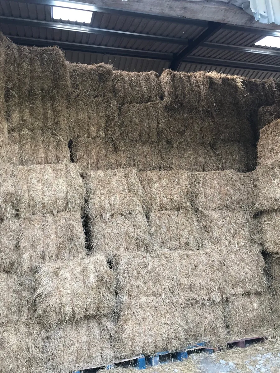 June Hay round & big squares - Image 4