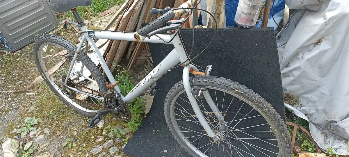 Mans Bike - Image 4