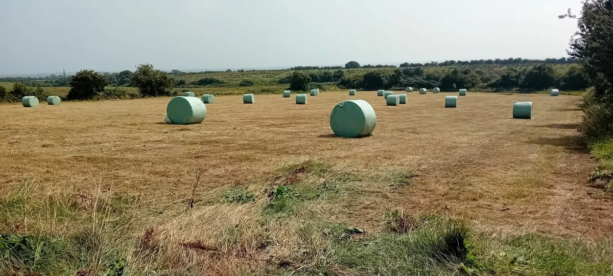 Silage bales