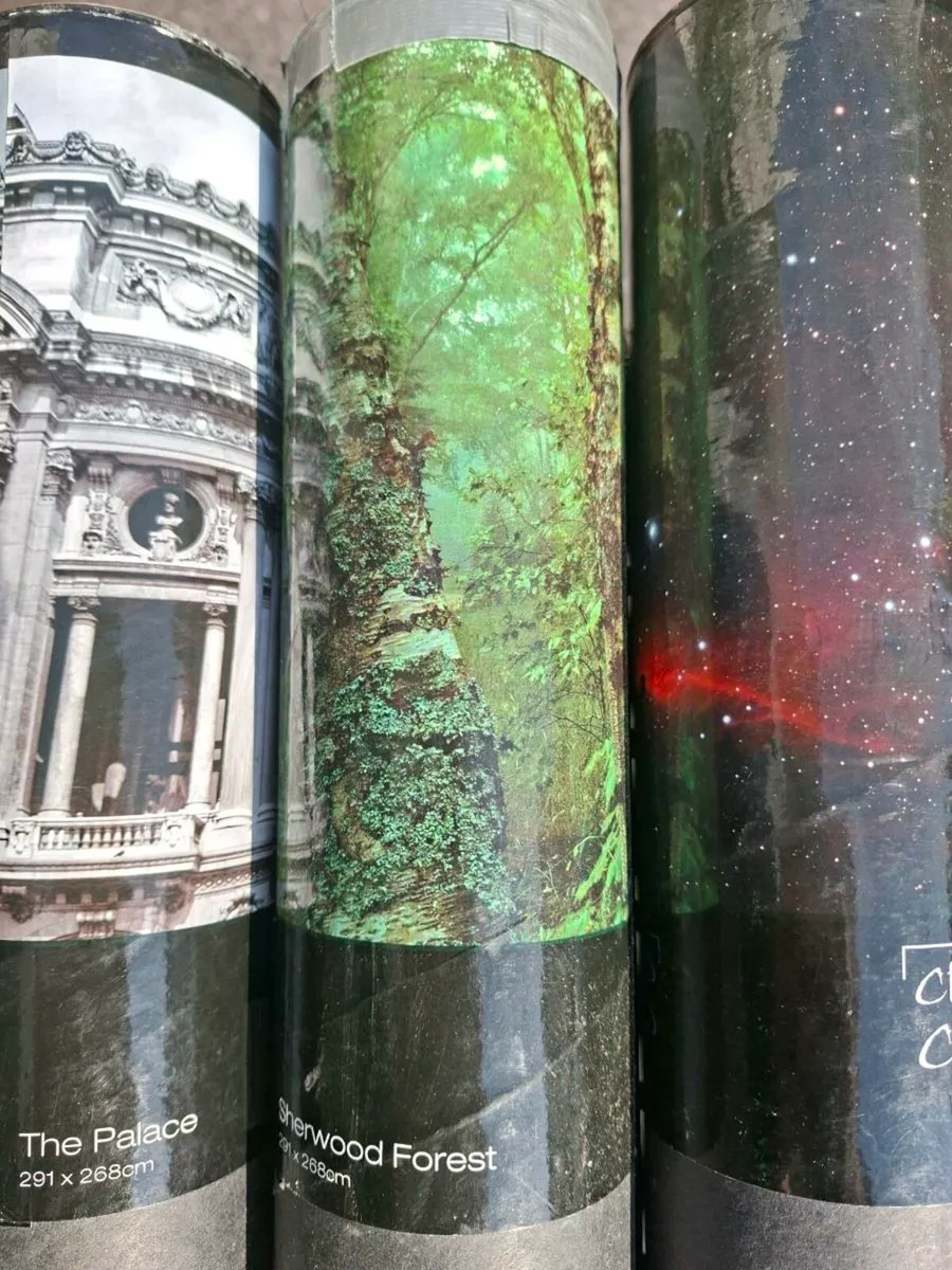 3 Mural Poster lot - Image 3