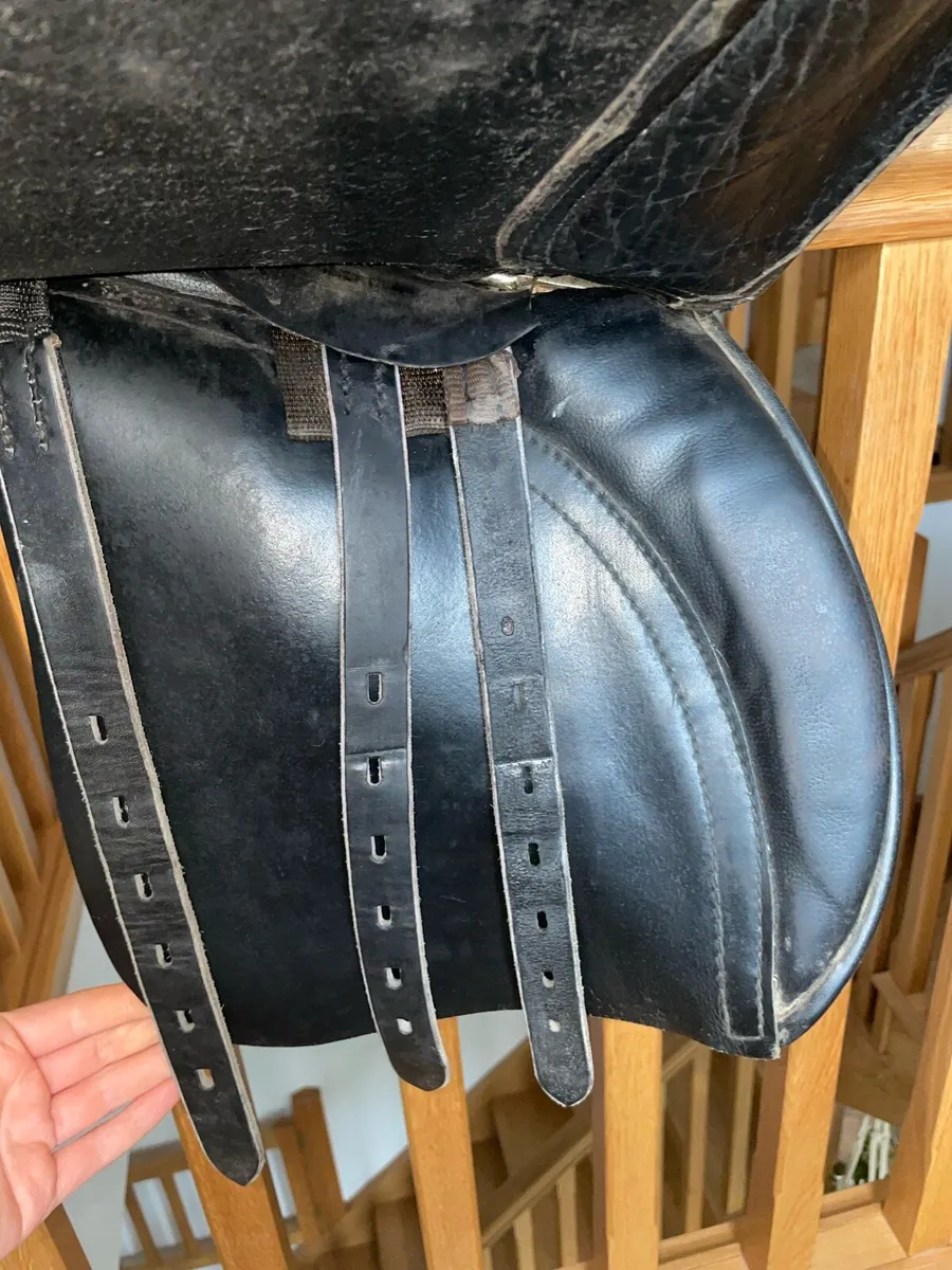 Saddle - Image 2