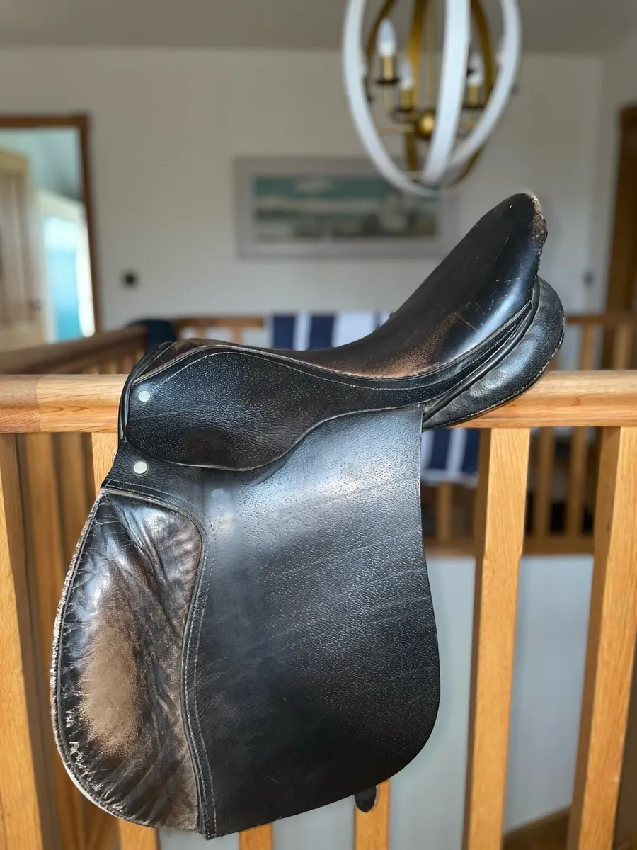 Saddle - Image 3