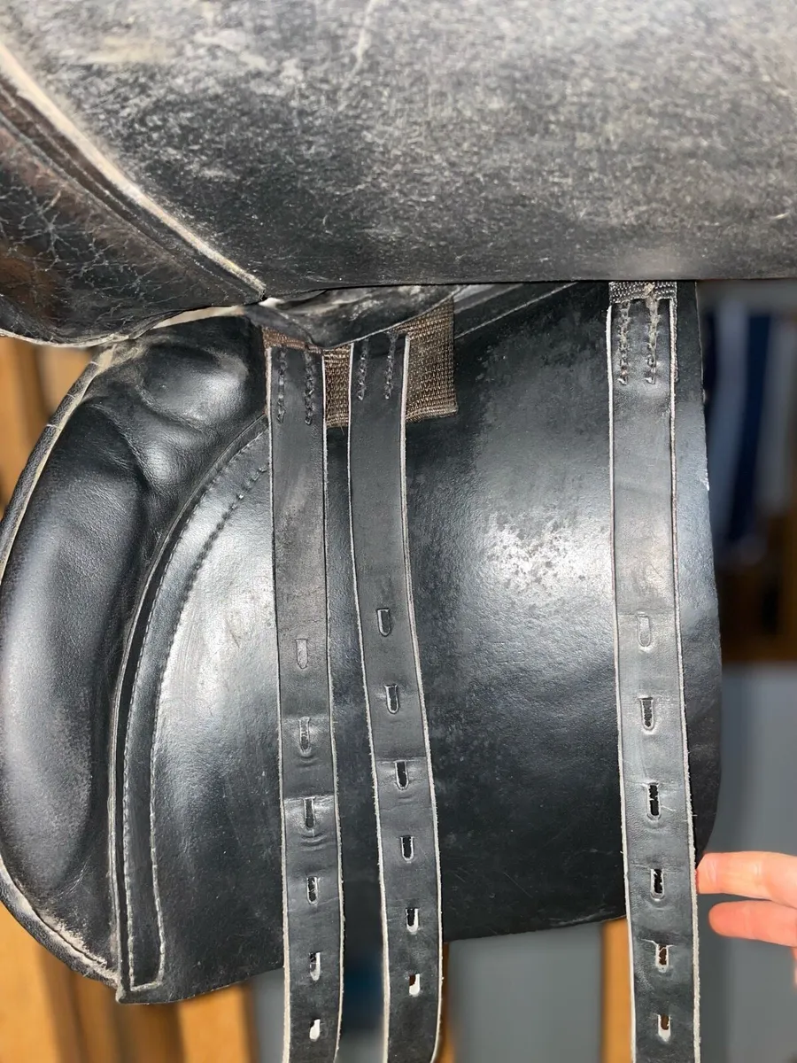 Saddle - Image 4