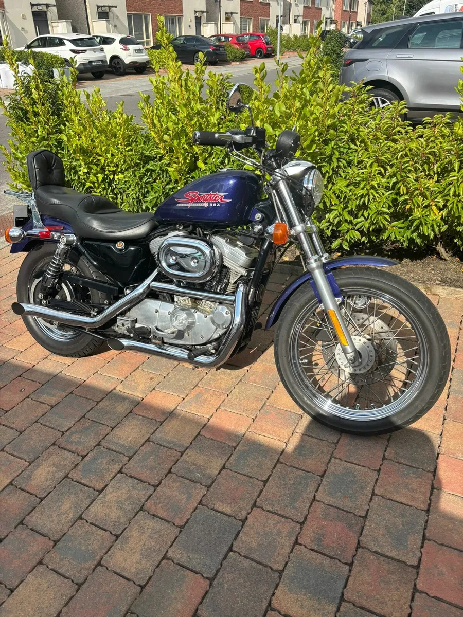 Harley Sportster 883 - Image 2