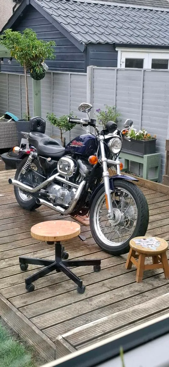 Harley Sportster 883 - Image 3