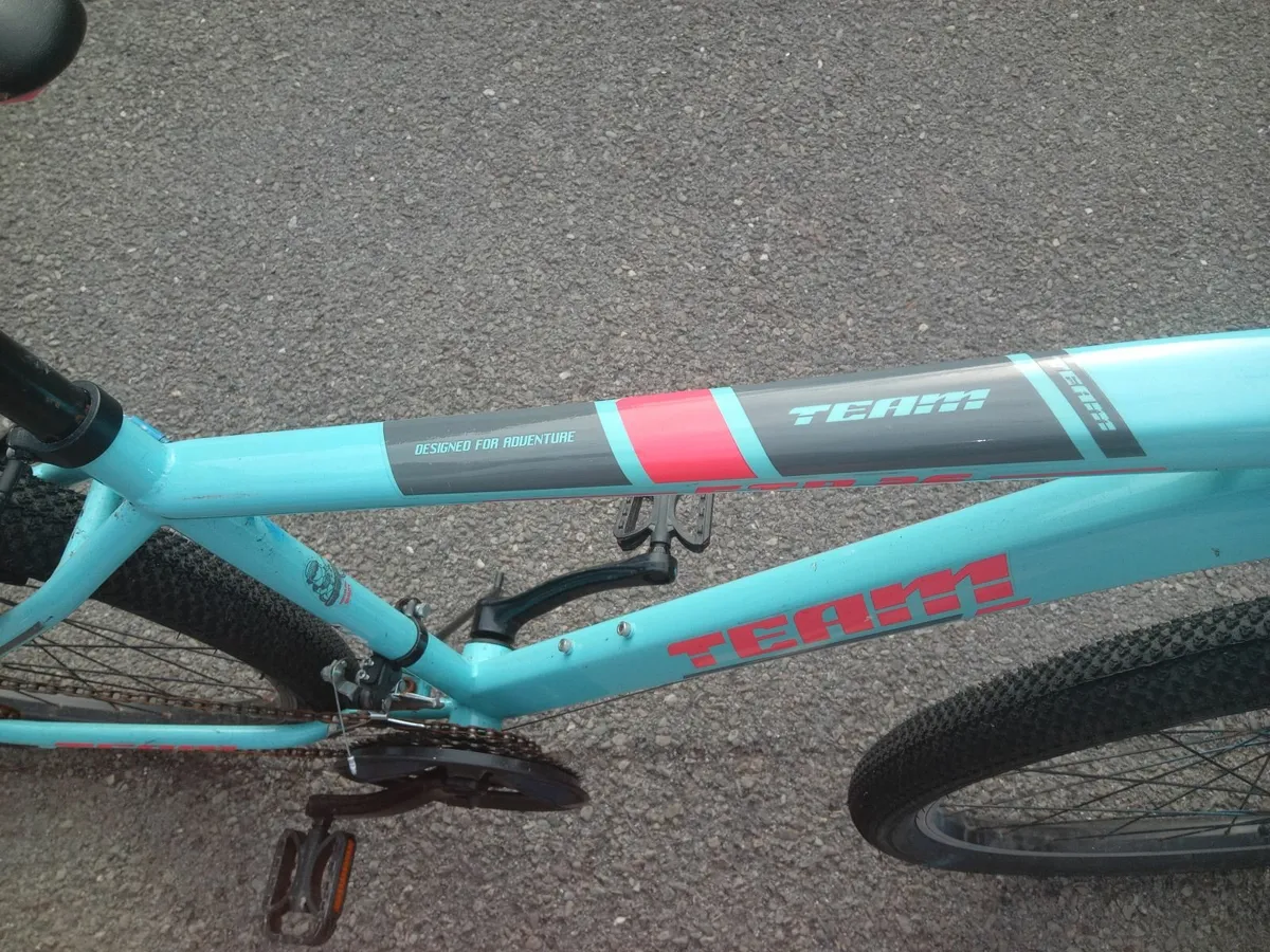 Childrens Mountain Bike - Image 3