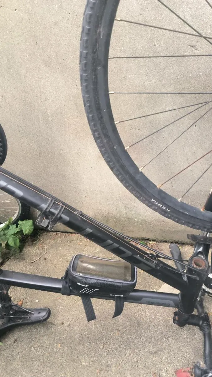 Bike - Image 2