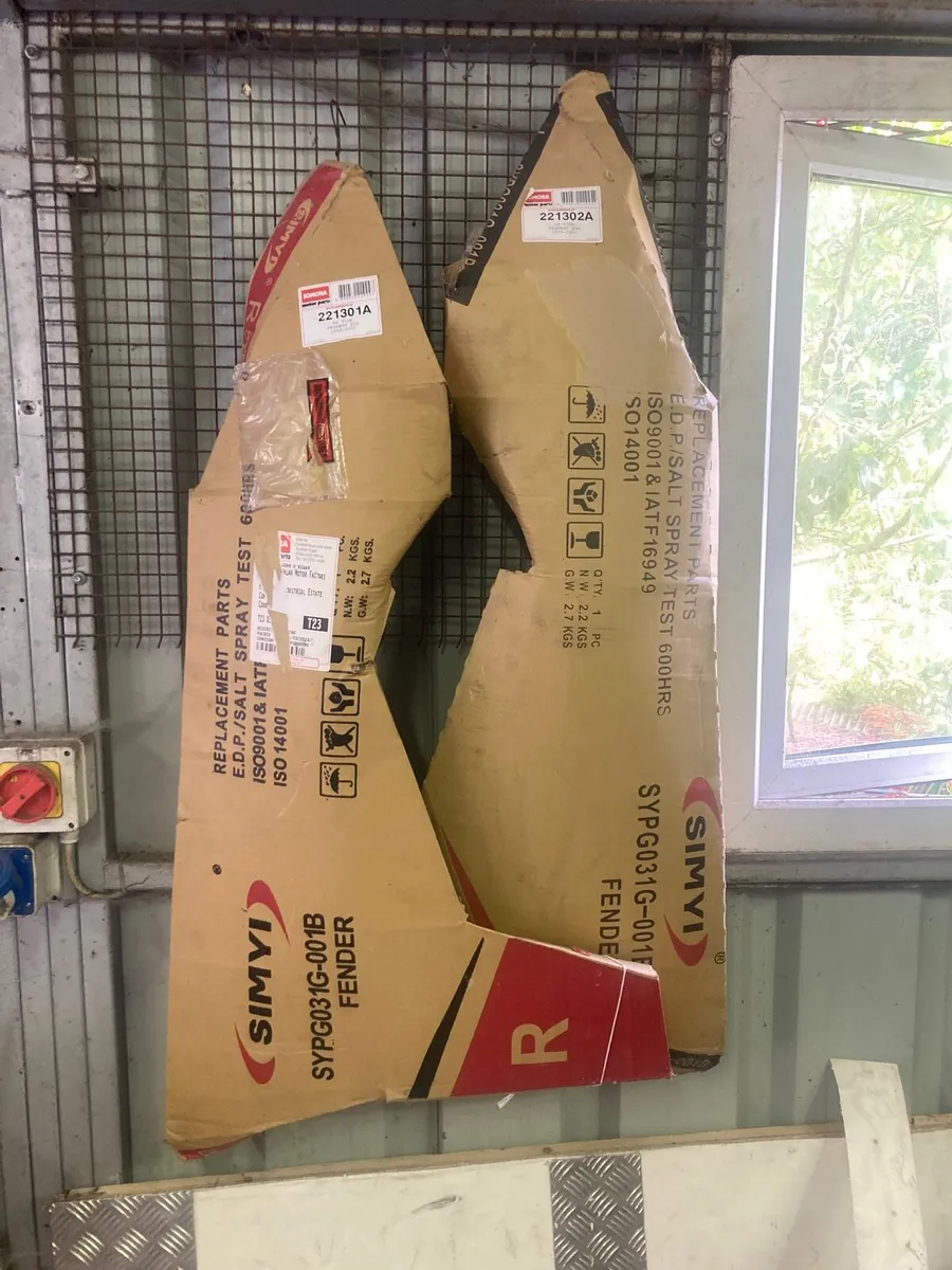 P206 Front wings - Image 1