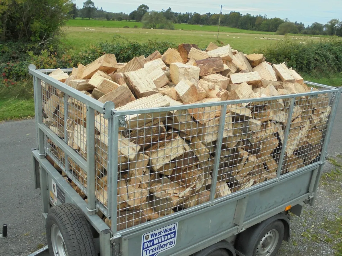 FIREWOOD - Image 4