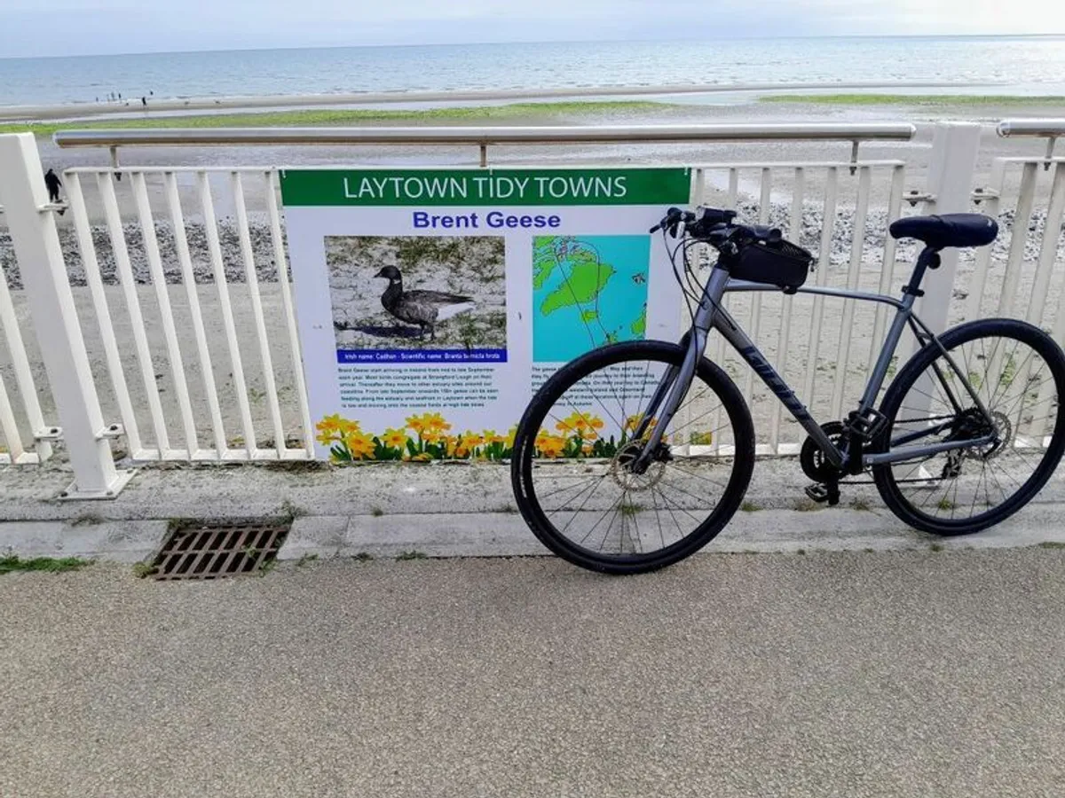 bicycle - Image 2