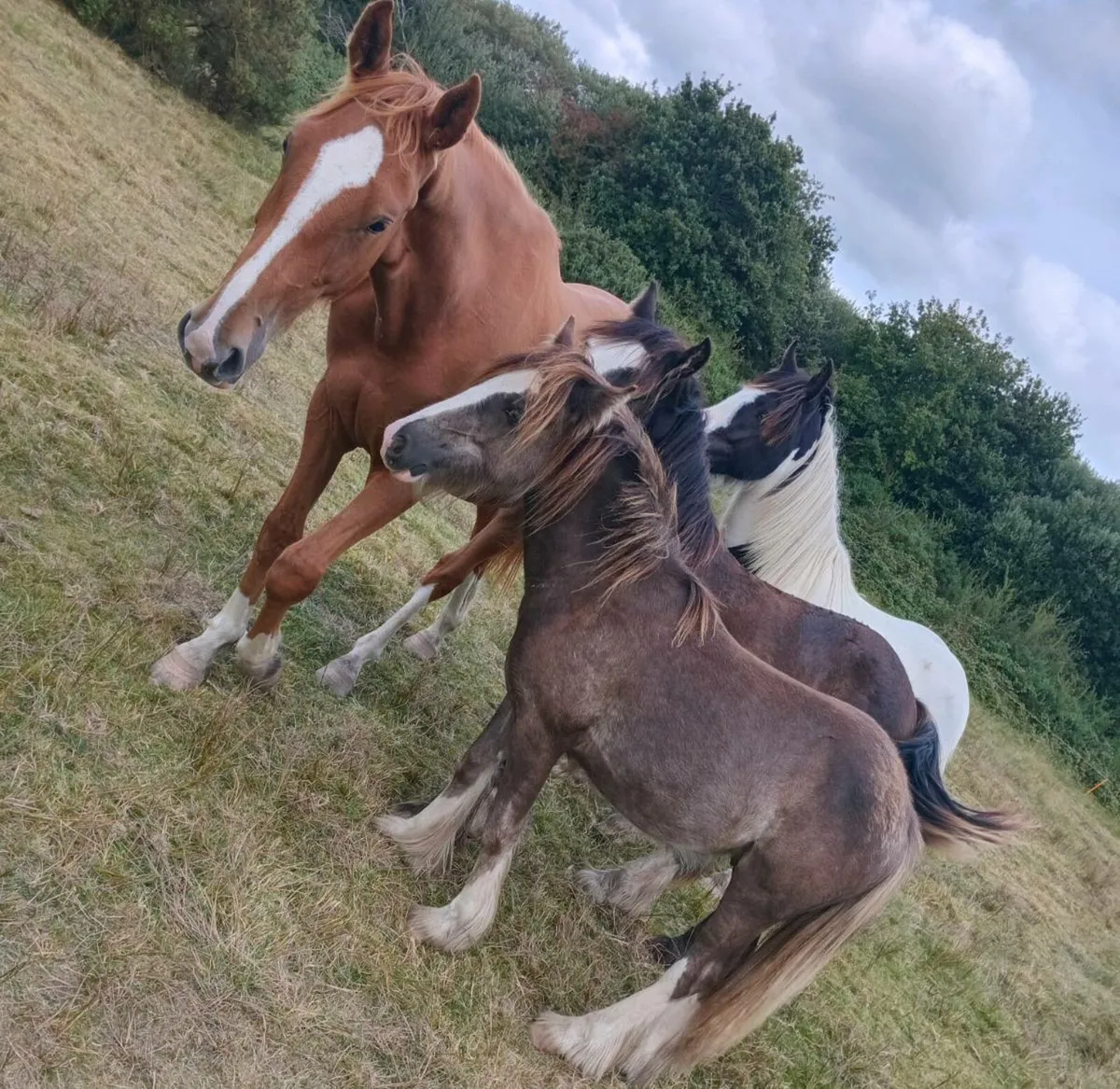 Simon and Mikky - Image 2