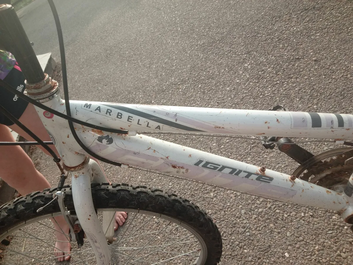Childrens mountain bike - Image 2
