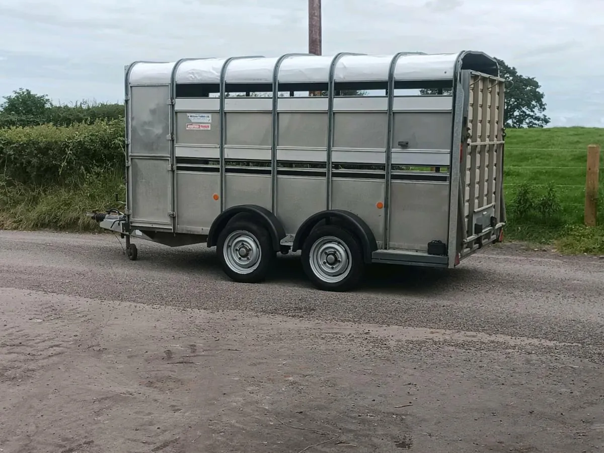 Ifor Williams - Cattle trailer - Image 1