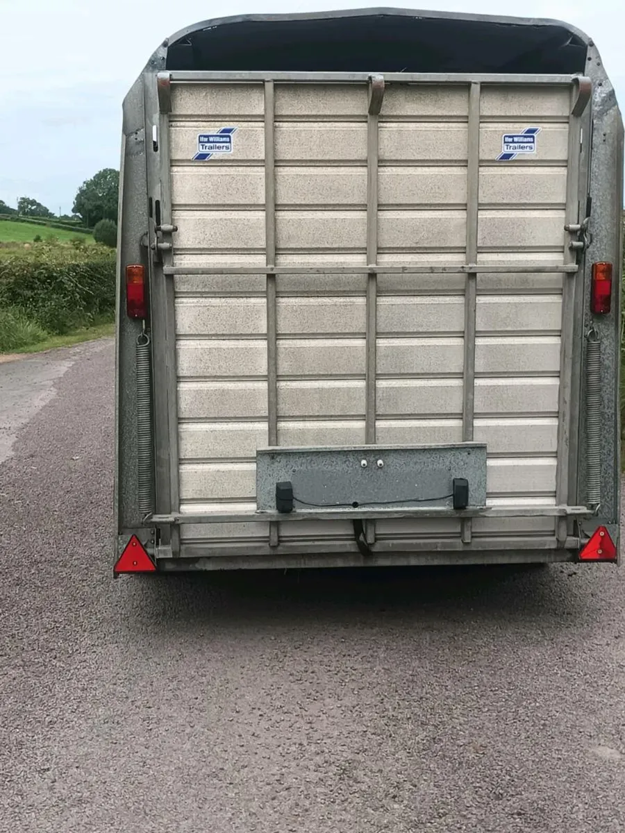 Ifor Williams - Cattle trailer - Image 2