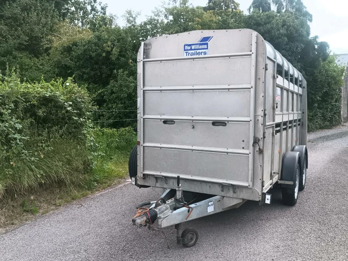 Ifor Williams - Cattle trailer - Image 4