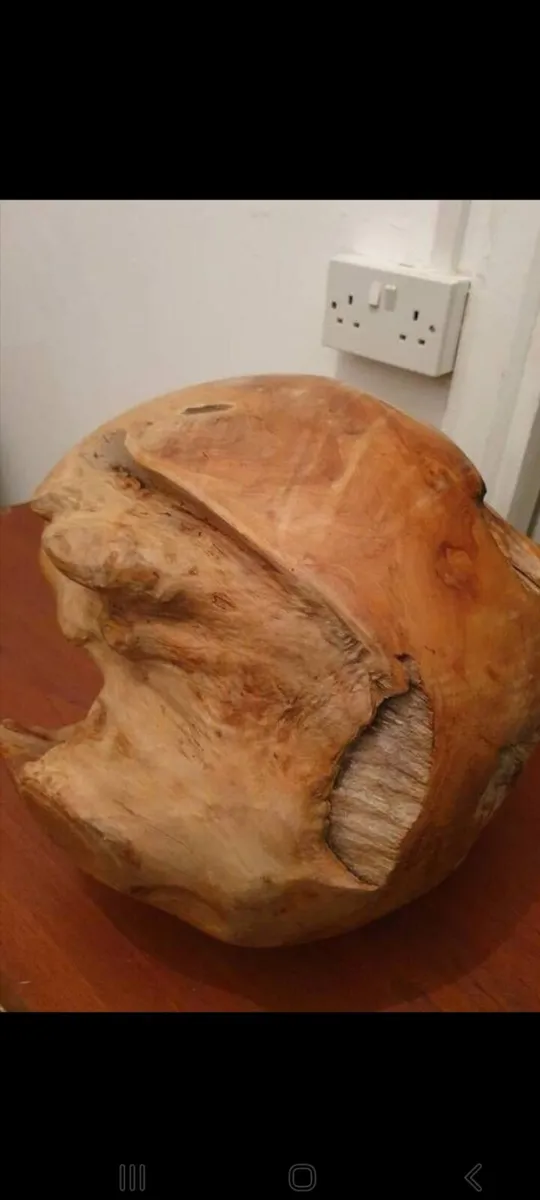 teak root ball sculpture - Image 1