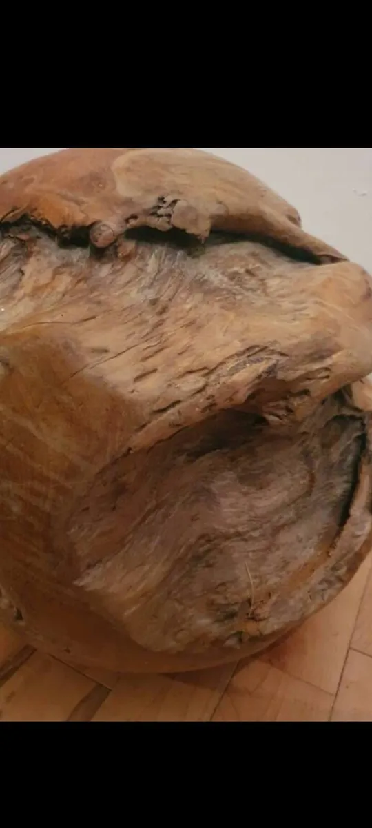 teak root ball sculpture - Image 3