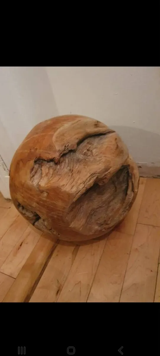 teak root ball sculpture - Image 4