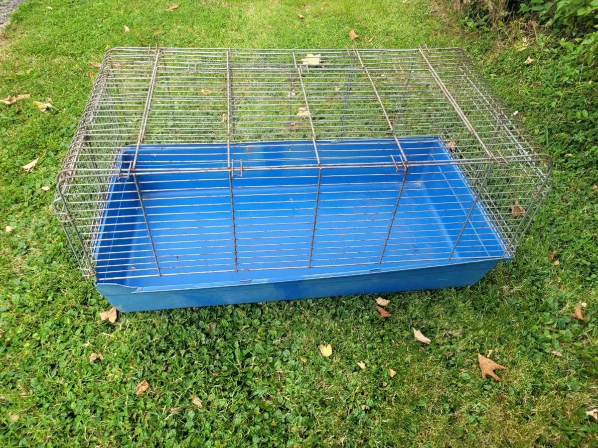 Pet Carriers - Image 4