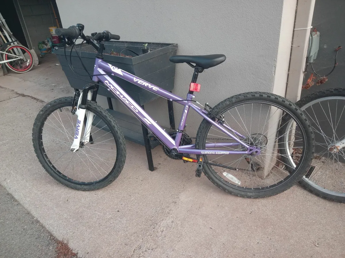 Childrens Mountain Bike - Image 1