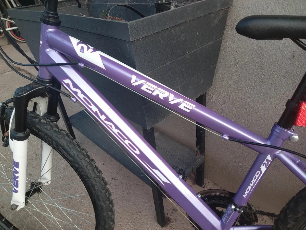Childrens Mountain Bike - Image 2