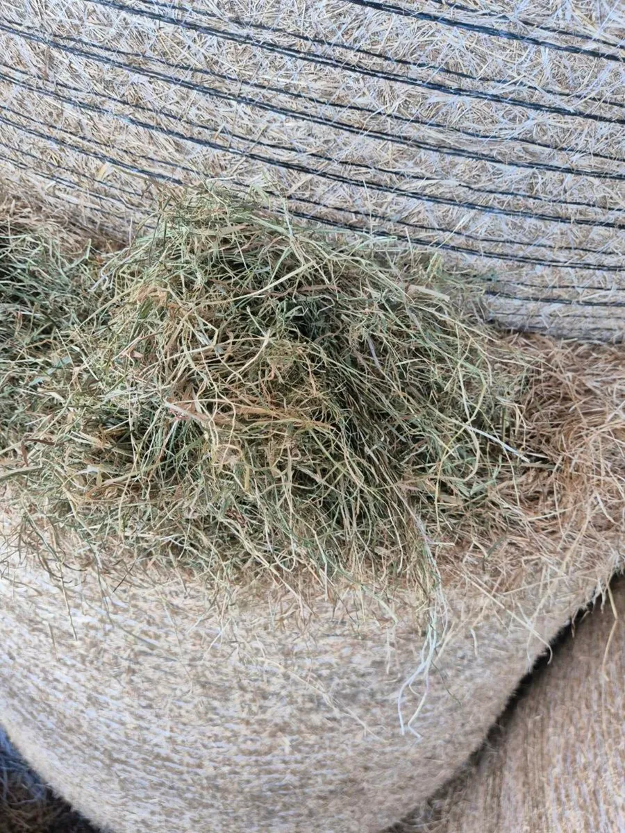 Top quality hay - Image 1