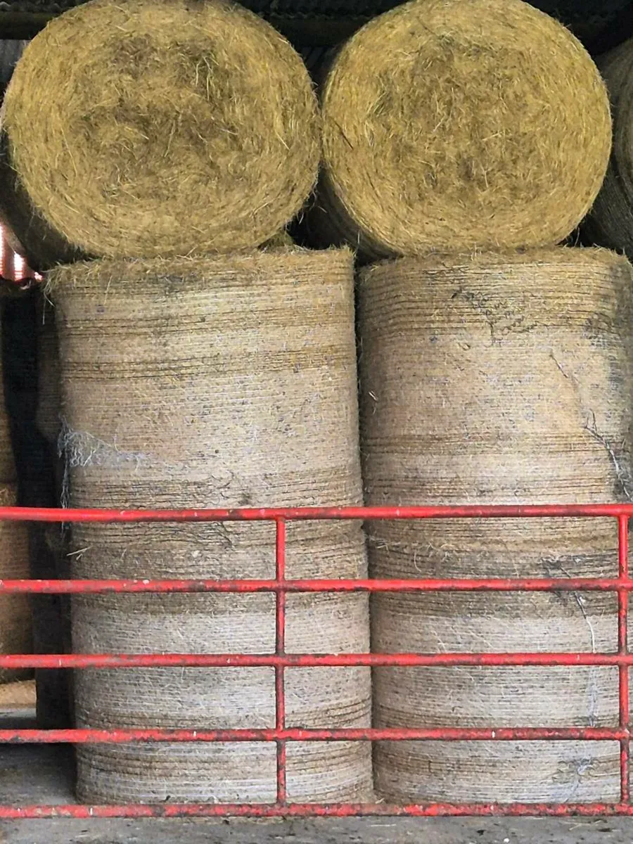 Top quality hay - Image 3