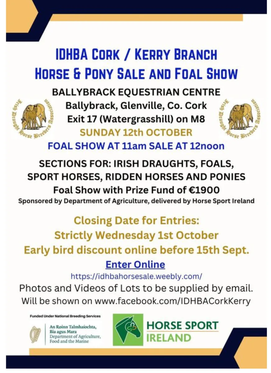 CORK HORSE&PONY SALES Sunday 12th October - Image 2