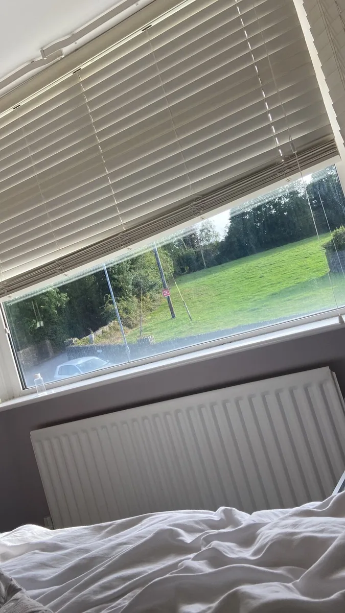 Venetian blinds - Image 1