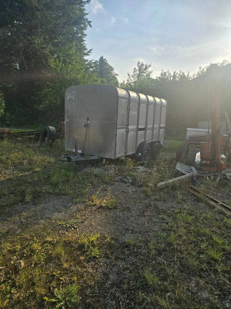 Ifor Williams Cattle trailer 12×6 - Image 1