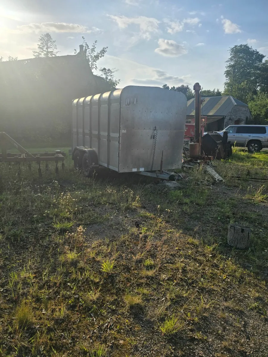 Ifor Williams Cattle trailer 12×6 - Image 2
