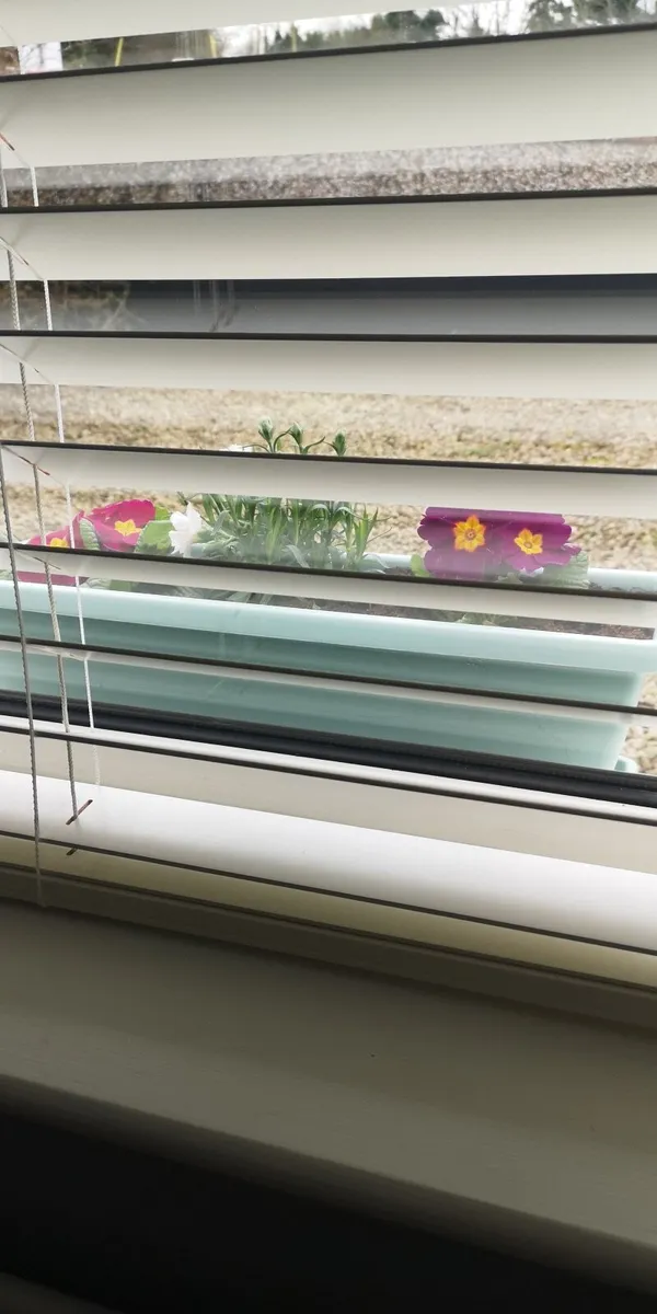 Venetian blinds - Image 2