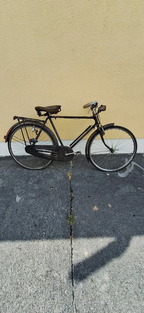 Raleigh bike - Image 1