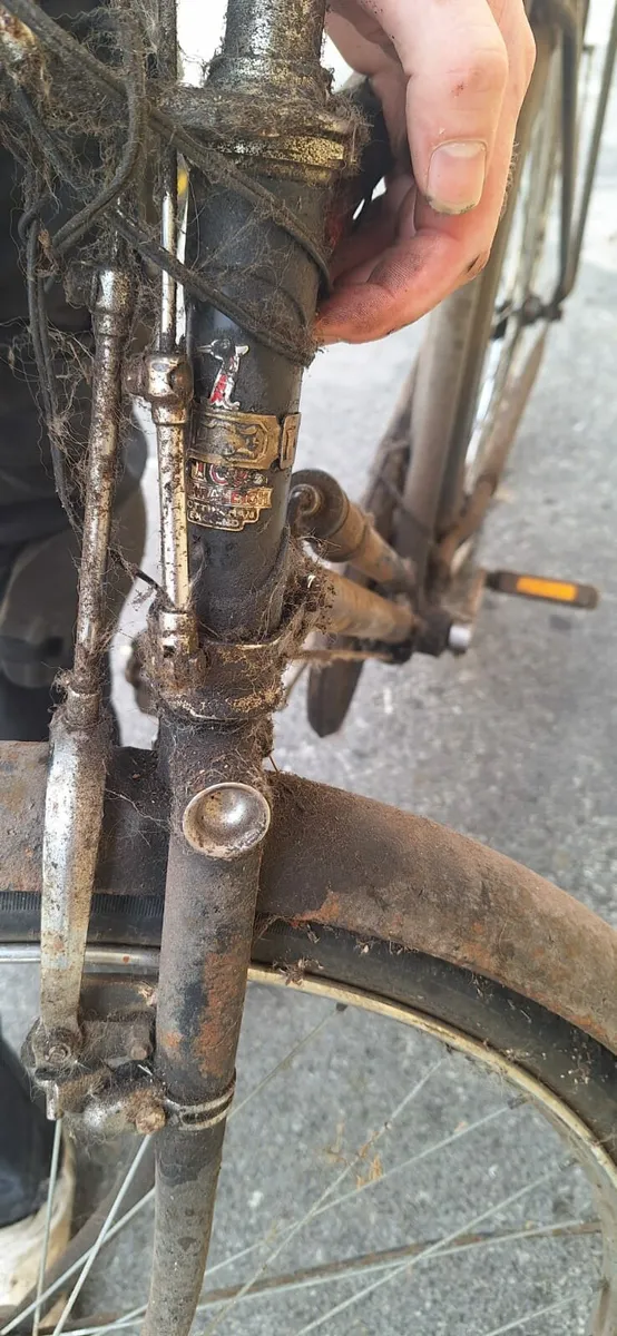Raleigh bike - Image 2
