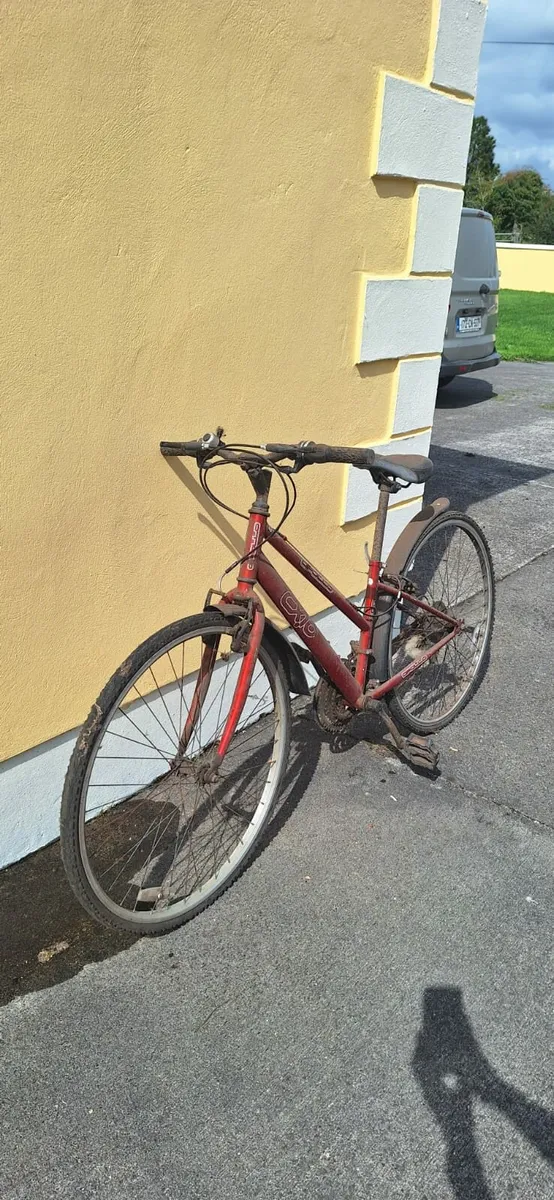 Womans bike - Image 1