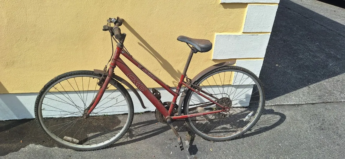 Womans bike - Image 2