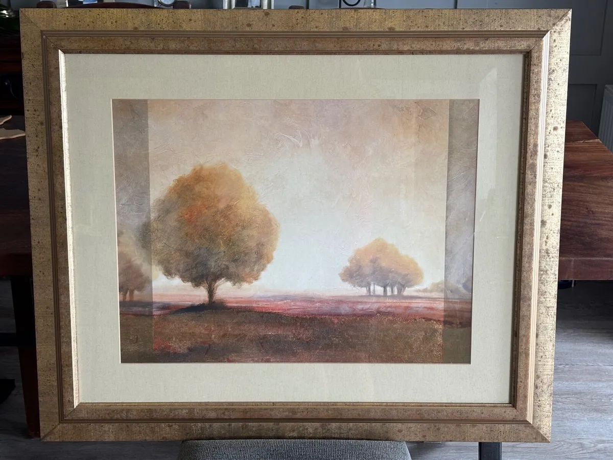 Framed Picture