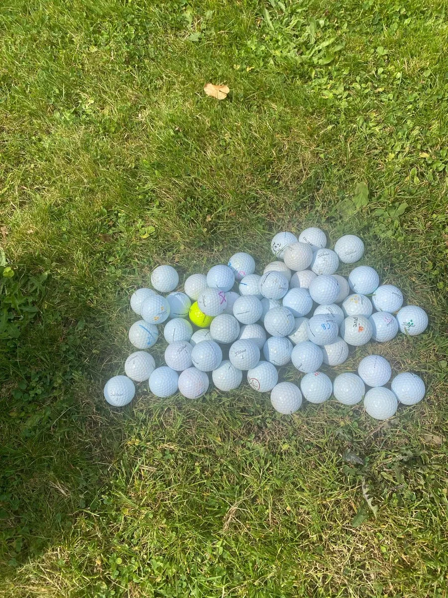 Pro V1/Pro V1x - Image 1