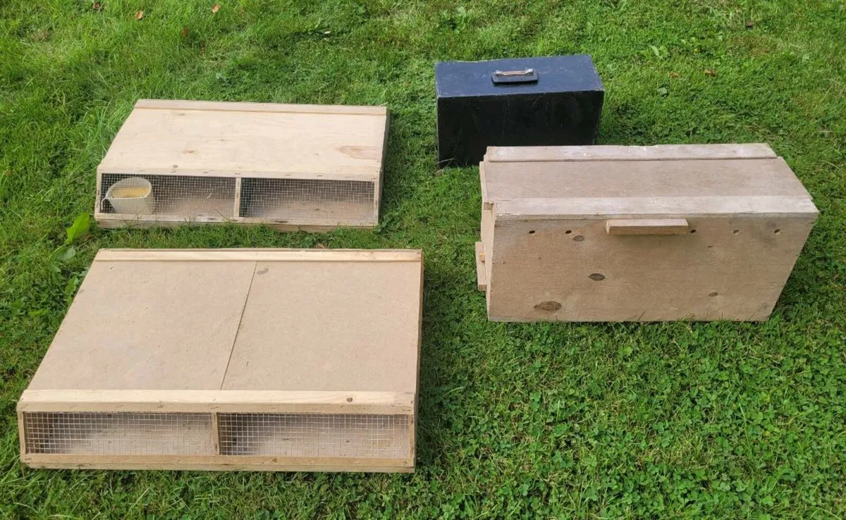 Pigeon crates and showbird carriers - Image 3