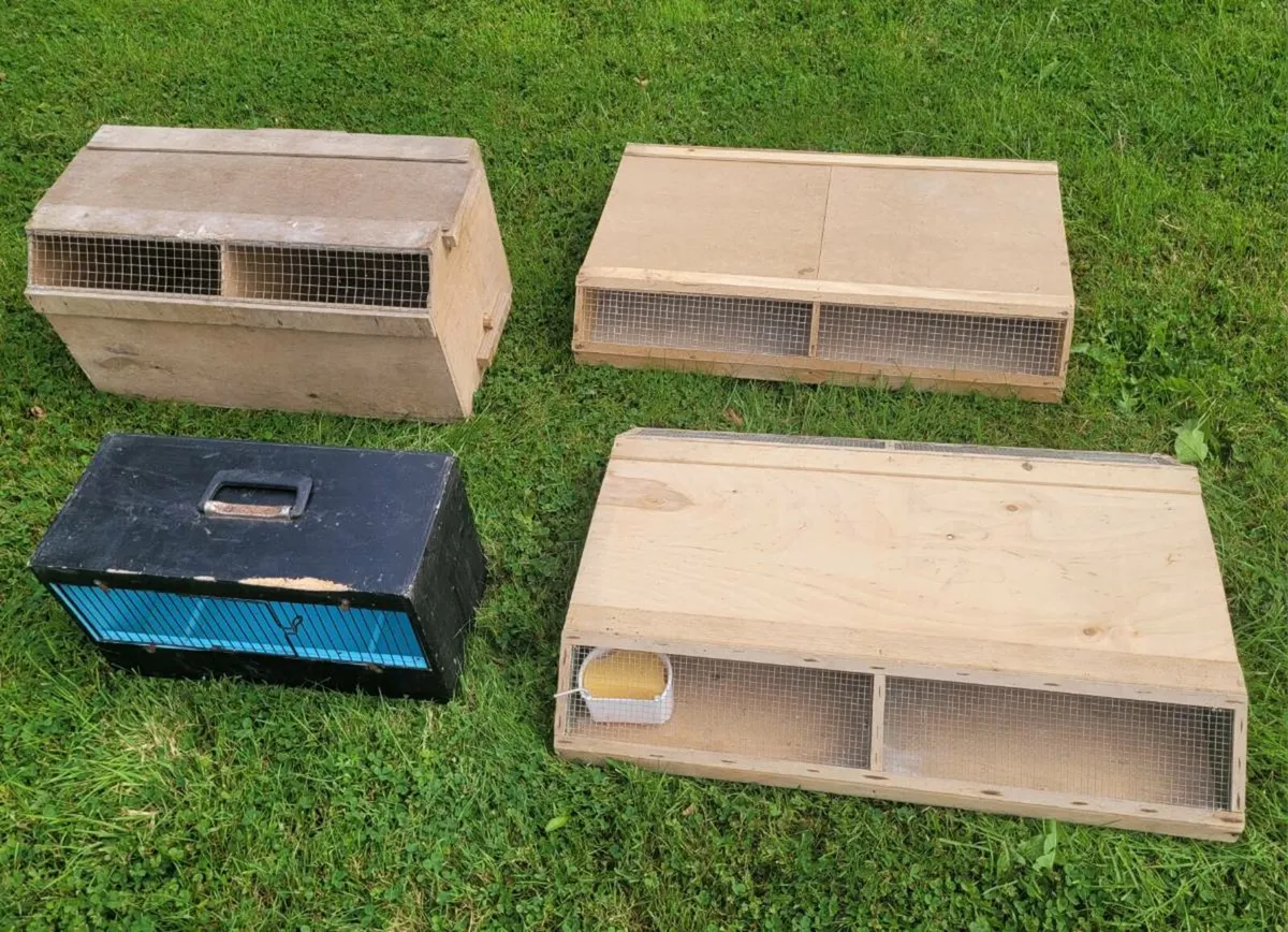 Pigeon crates and showbird carriers - Image 4