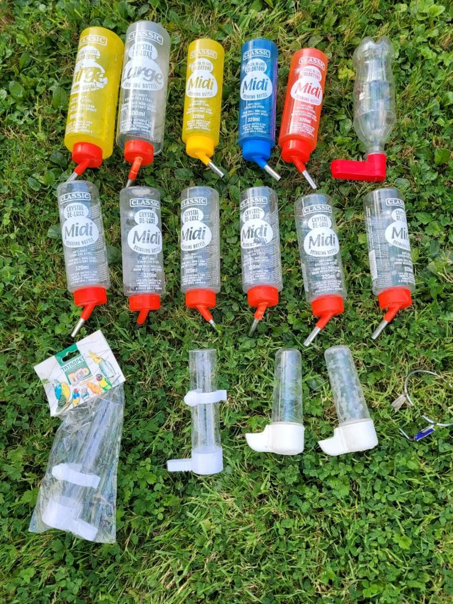 Rodent crates, parakeet and showbird carrier - Image 3