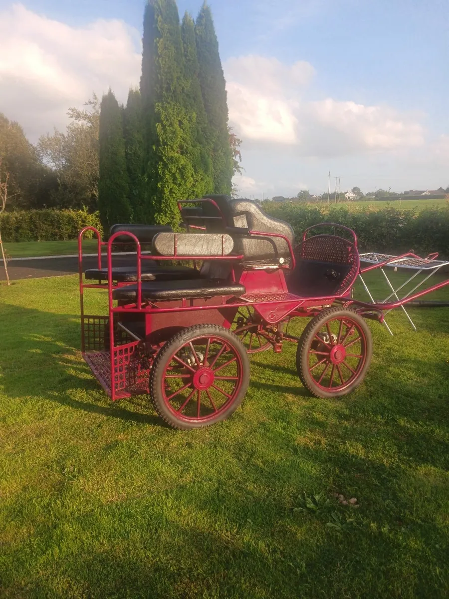 Horse Carriages - Image 1