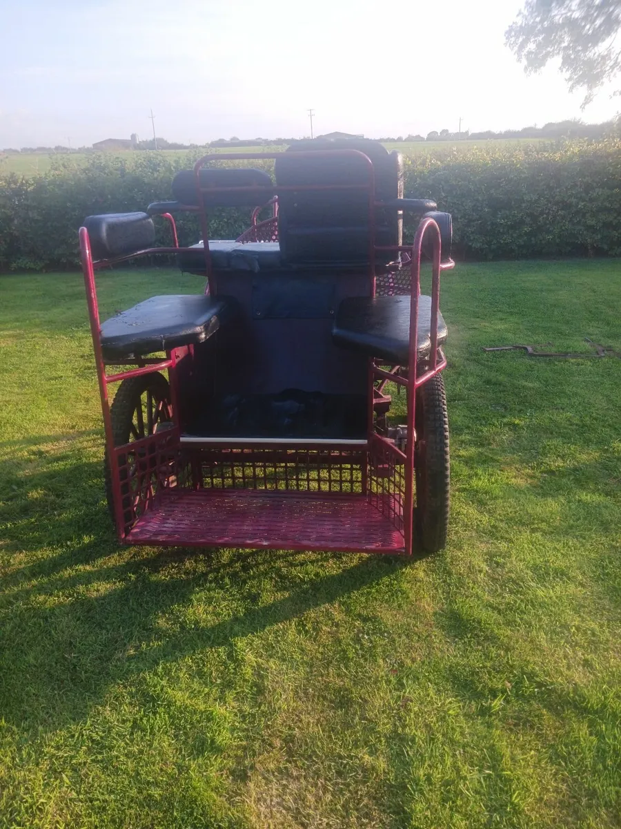 Horse Carriages - Image 2