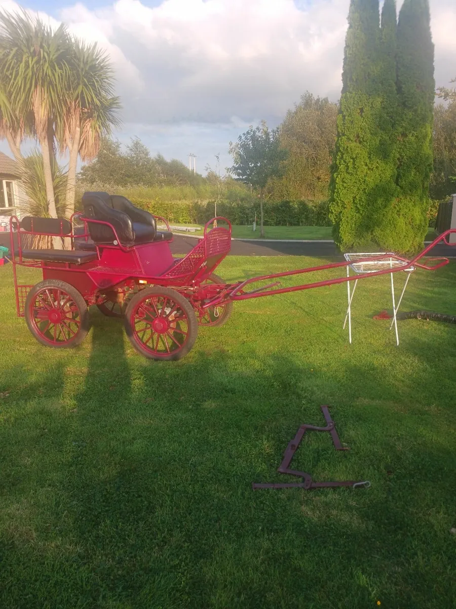 Horse Carriages - Image 3