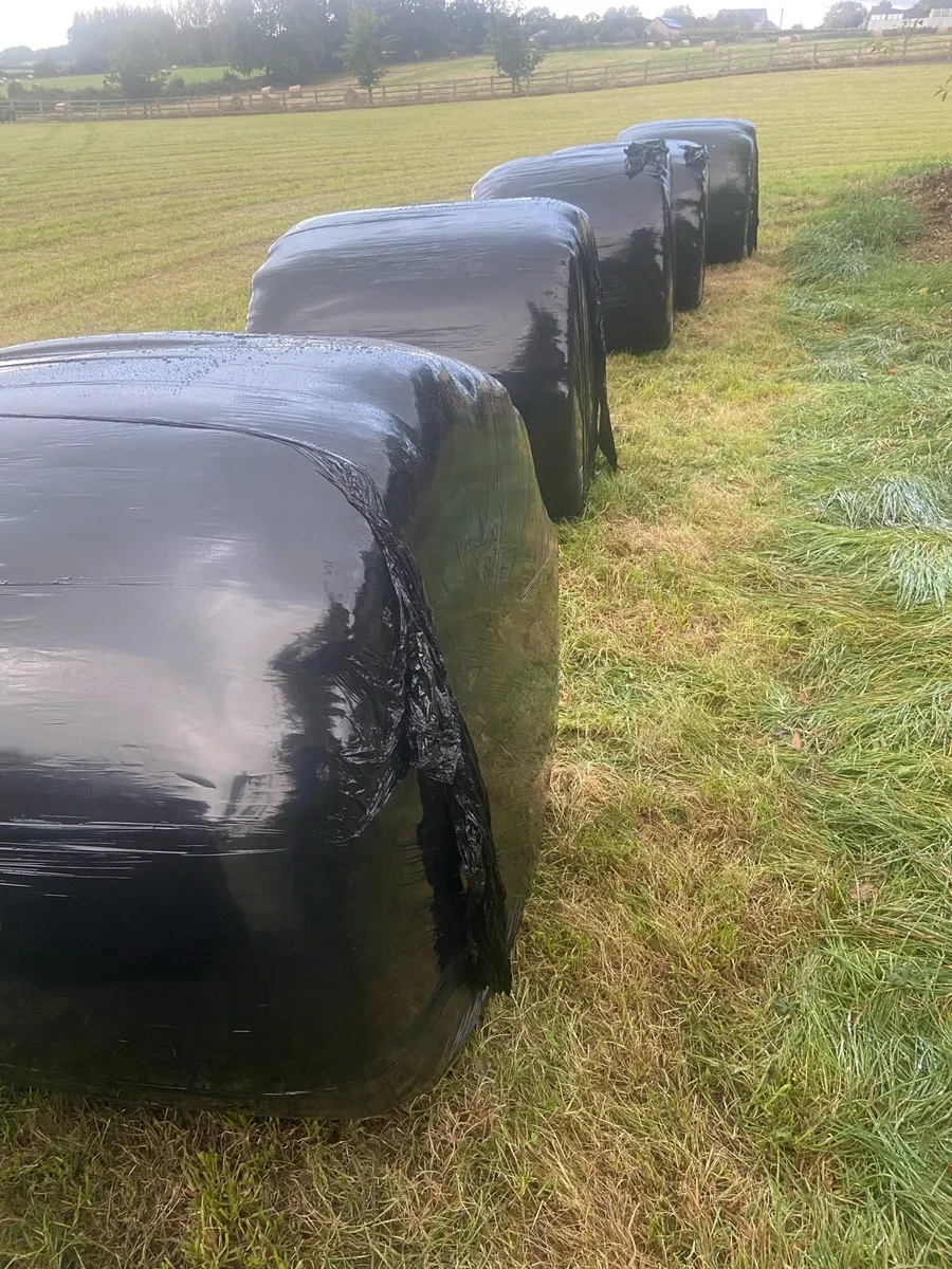 Silage bales - Image 1