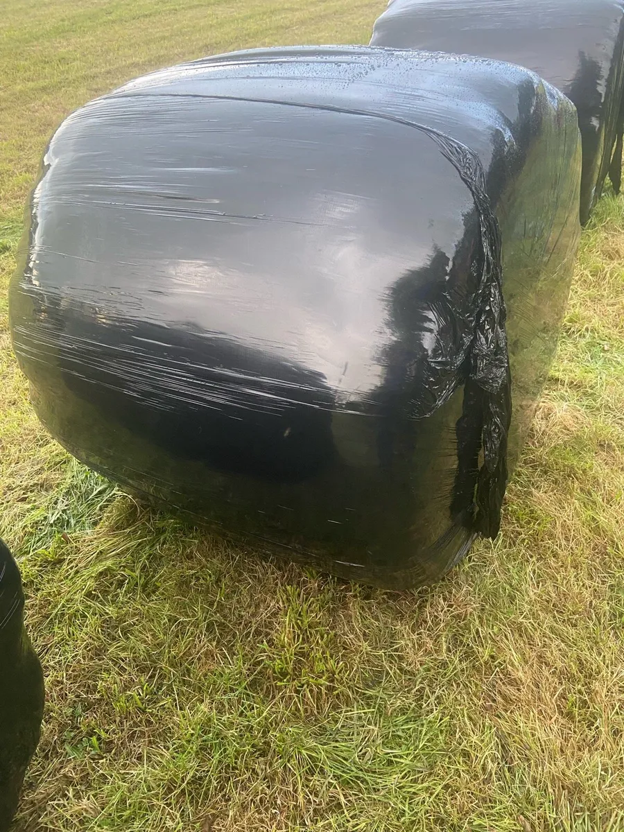 Silage bales - Image 2