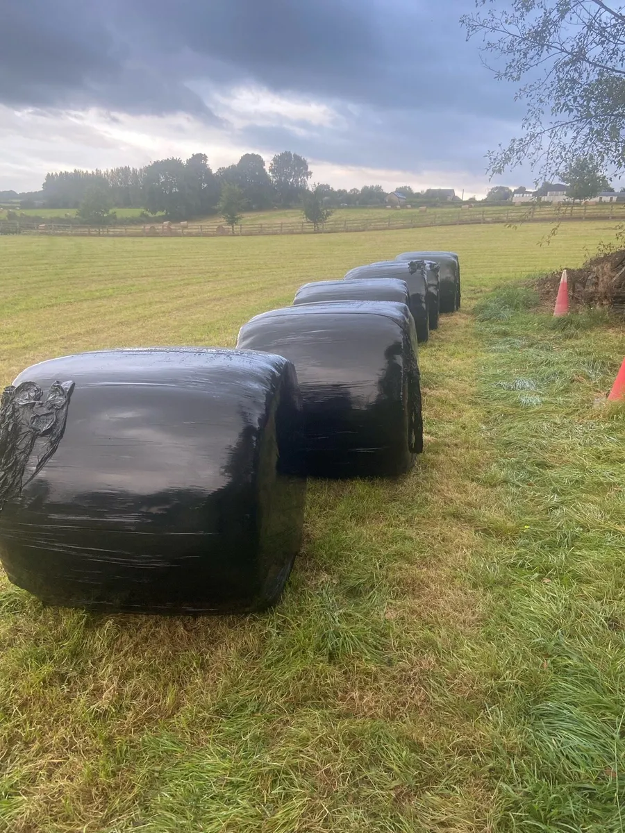 Silage bales - Image 3
