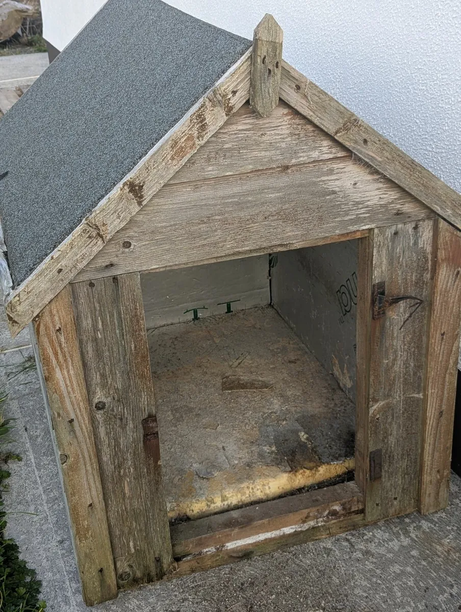 FREE Dog/Cat House - Image 3