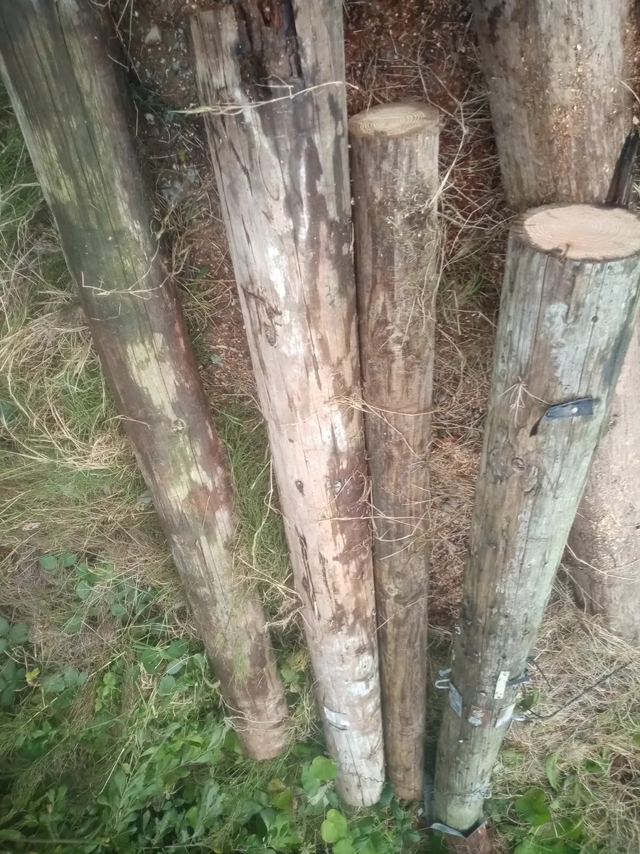 Poles - Image 1