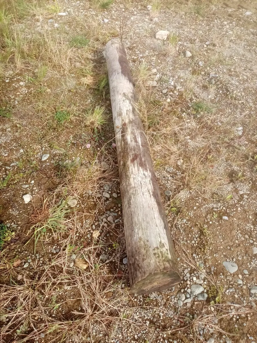 Poles - Image 2